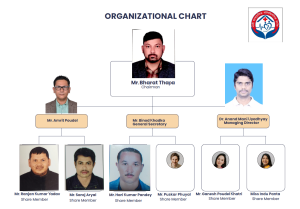Organization Chart